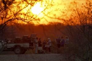 kapama private game reserve prices