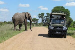 3 Day Bugdet Kruger Park Safari