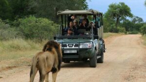 9 Day Luxury Kruger Park Safaris