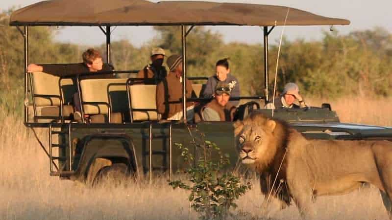 7 Day Budget Kruger Park Safari