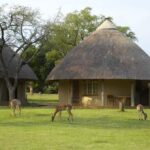 5 Day Classic Kruger Park Safari Tour