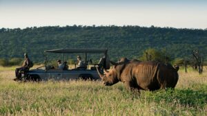 5 Day self drive Southern Kruger Park