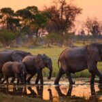 9 Day Budget Kruger Park Safari Tour