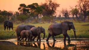 9 Day Budget Kruger Park Safari Tour