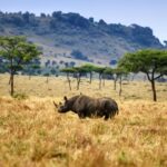 6 Day Luxury Kruger Park Safaris
