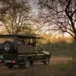 Open vehicle Safari Drives